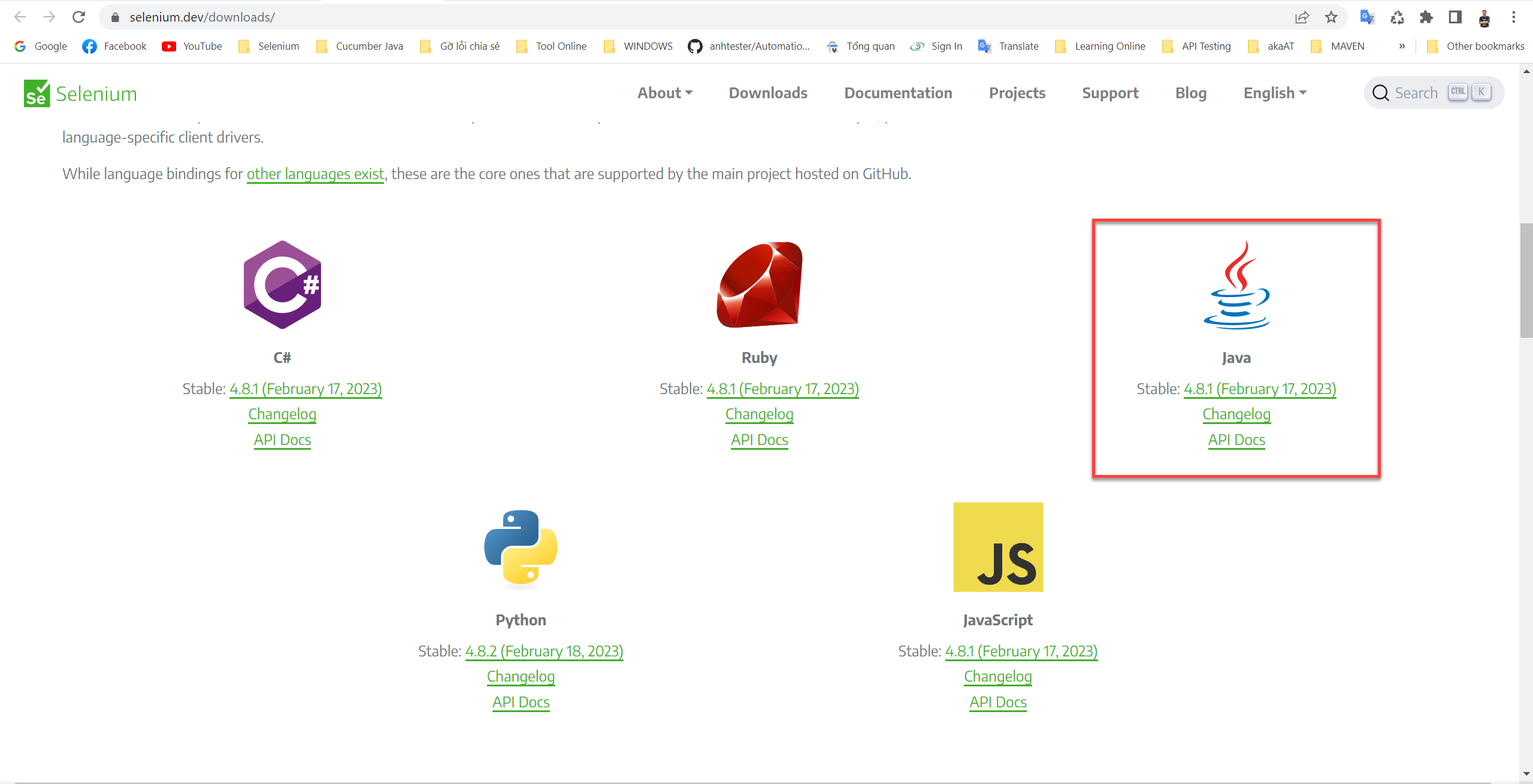 Cài đặt Selenium WebDriver Java | Anh Tester