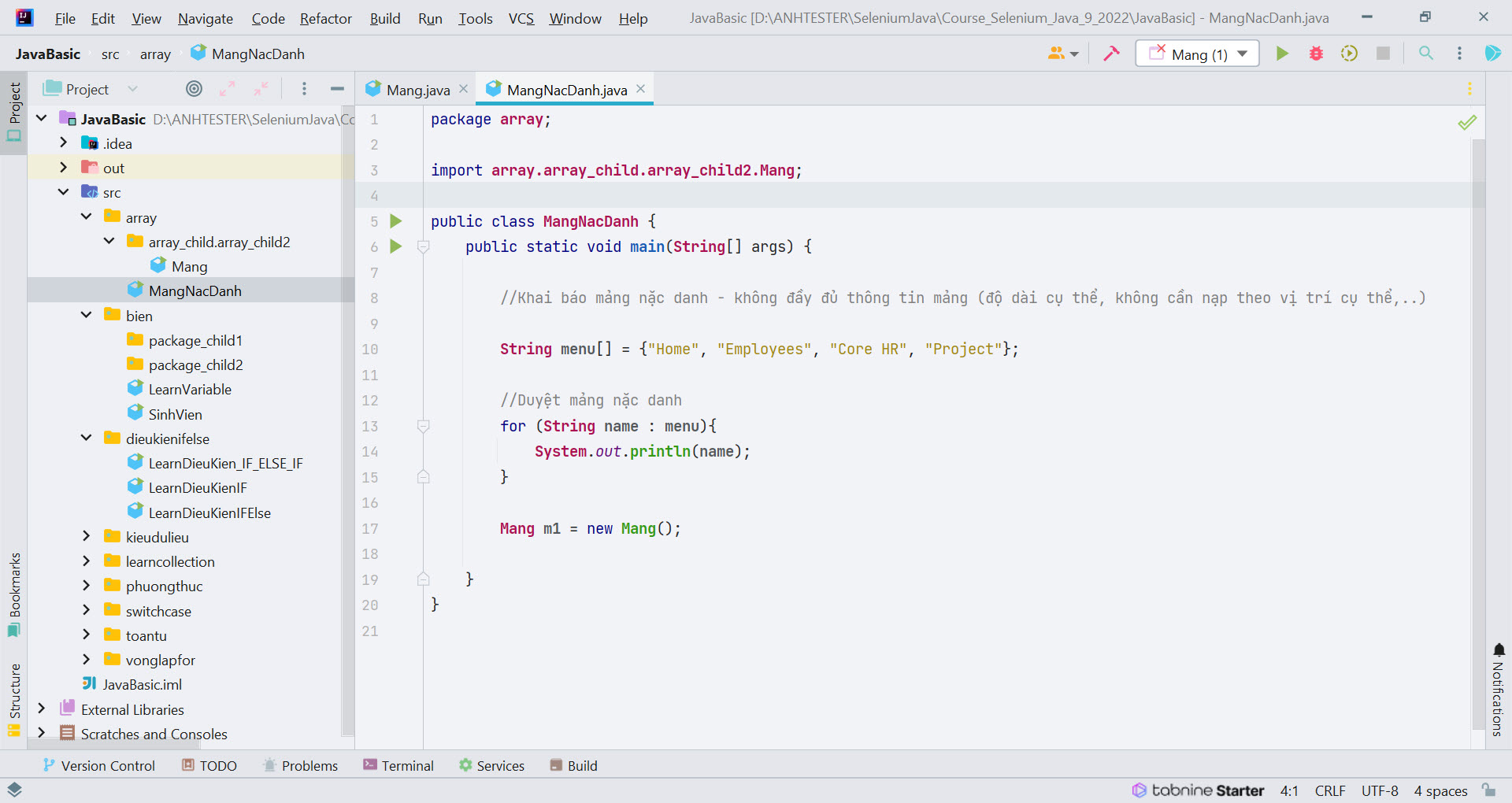 [Selenium Java] Bài 2: Java OOP | Anh Tester